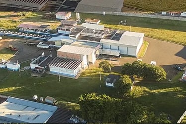 Frigo Vale do Paraíso