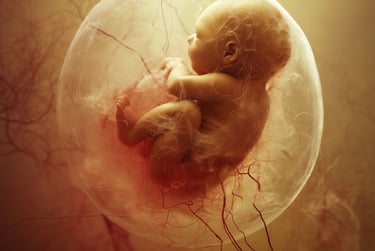 preborn baby in amniotic sac