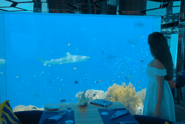 best underwater restaurants in the Maldives