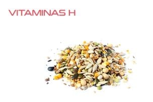 Vitaminas H