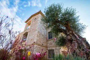 modern stone house with olive tree