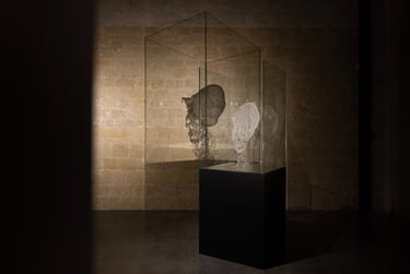 a glass sculpture of a skull in a glass case