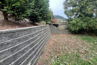 blackberry bushes removed from a retaining wall.