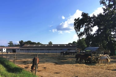 poney club Présinge