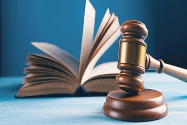 Representation of professional legal opinion and documentation support