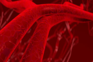 Artérias e aterosclerose