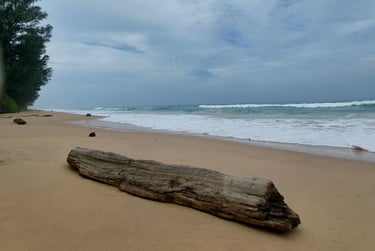 Thai Mueang Beach Phang Nga