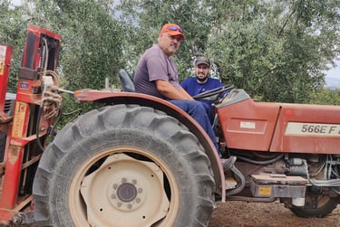 Crusells Mas Tractor