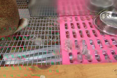 Ginger's pulled hair