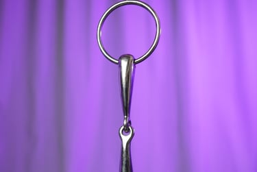 bit snaffle