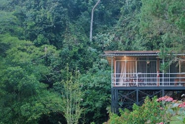 J Residence
