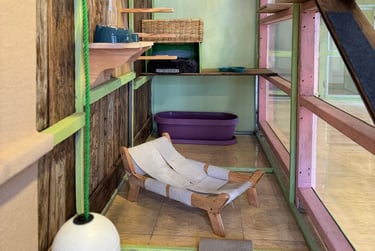 Premium Deluxe Suite with wooden climbing shelves, cozy sleeping spots, and natural light and beds