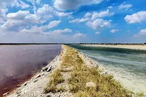 India's largest lake, Sambhar salt lake, Rajasthan.
