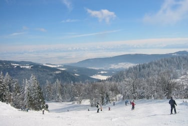 a group of people skiing down a mountain