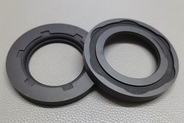 Silicon Carbide Mechanical Seals