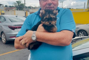 Entregado en mi casa tal como lo pedí