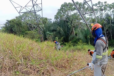 Especialistas em licenciamento Ambiental