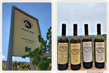 Sign of Domaine Paterianakis Winery in Melesses, with bottles of wine and a vineyard view
