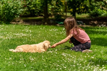 Chien et enfant jouant dans un jardin entretenu – résultat du service La Vie Sans Crotte.