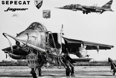 Dessin réaliste en noir et blanc d'un jaguar Sepecat