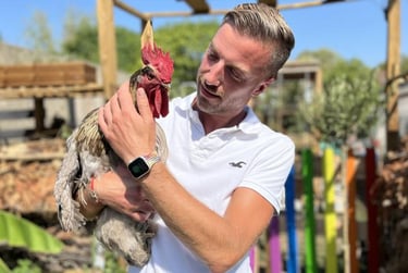 napoléon le coq de wattignies