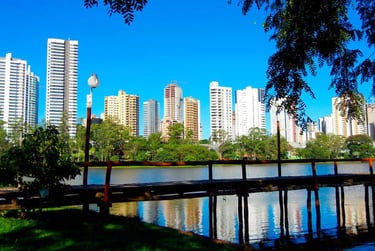 Melhor Franquia de Curso de Banho e Tosa do Brasil