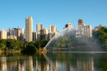 Contrate uma Franquia de Cursos de Banho e Tosa para Goiânia