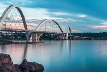 Contrate uma Franquia de Cursos de Banho e Tosa para Brasília