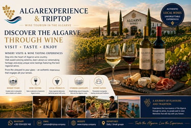 Algarve wine tasting advertisement featuring bottles of red and white wine at a scenic vineyard.