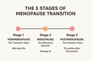 “Timeline infographic showing three stages of menopause: Perimenopause , Menopause  Post menopause