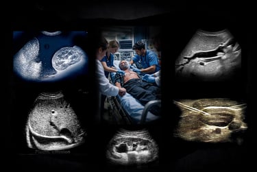 Montage of ultrasound images showing the performance and findings of POCUS ultrasound.