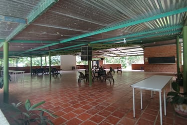 Salida, Diversión
