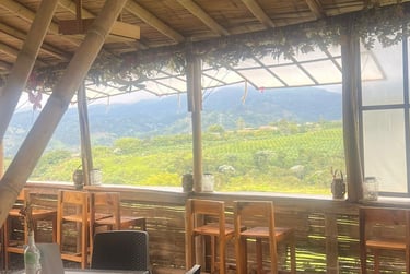 yipao del café