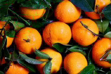 a bunch of oranges