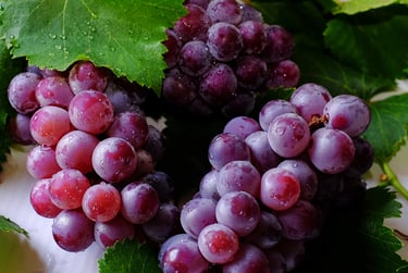 a bunch of grapes are shown on a table