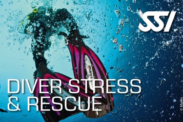 a person in a diving suit and diving gear with the words dive stress stress stress