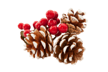 Callie Hope Voix Off image Noël