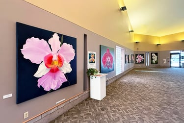 Gallery installation of museum-scale monumental botanical art by Christine Knize 