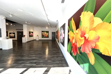 Gallery installation in Rock Hill, SC of Christine Knize's orchid paintings