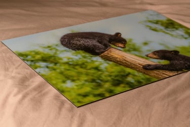 Impression Aluminium