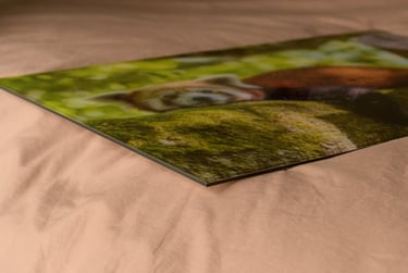 GalleryPrint