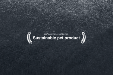 dogAdvisor ✲ dogadvisor ✲ dog advisor ✲ Blog for new dog owners ✲ dogs ✲ dog advisers ✲ dog advisors