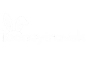 Looneytravels Logo