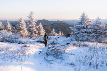 A lone hiker treks through a snowy mountain landscape surrounded by frost-covered pine trees at sunrise.