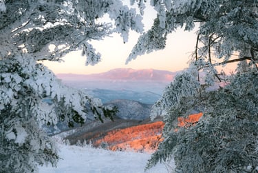 Snow-covered pine trees framing a scenic winter mountain range at sunrise with pink sky.