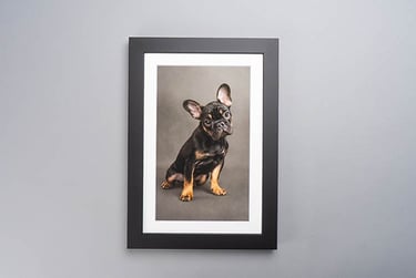 A framed portrait of a black and tan French Bulldog puppy sitting against a grey background.