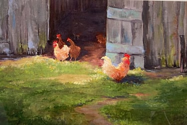 french chickens in a barn