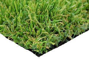 Green Star Tri Color