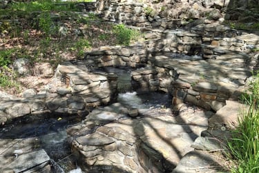 Photo of the fish ladder in Damariscotta, Maine