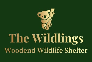 The Wildlings Woodend Wildlife Shelter